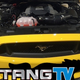 Illustration for article titled This Is The Glorious 5.0 V8 Under The Hood Of The 2015 Ford Mustang